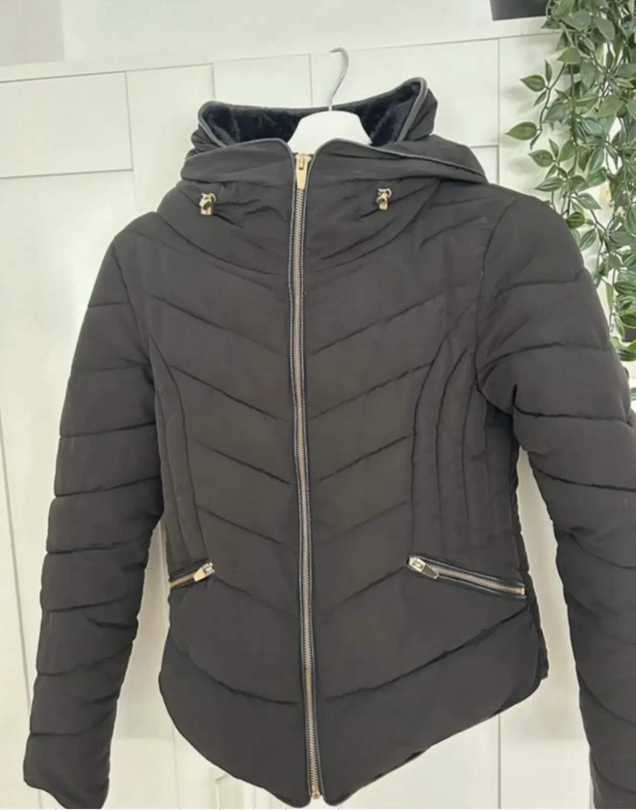 Zara jackey