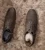 Hush puppies shoes